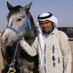 Faris mahdy